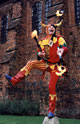 Taro The Jester