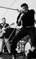 Elvis by Lee Jackson